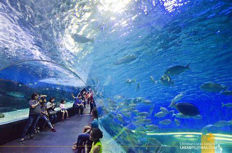 Manila Ocean Park Attractions