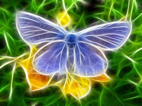 Blue Butterfly Fractile, fractile, art, butterfly, blue, HD wallpaper | Peakpx