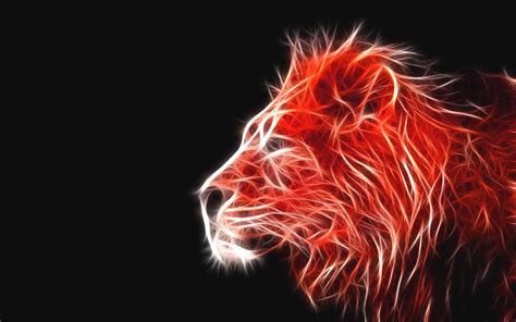 Lion On Fire Wallpapers - Wallpaper Cave