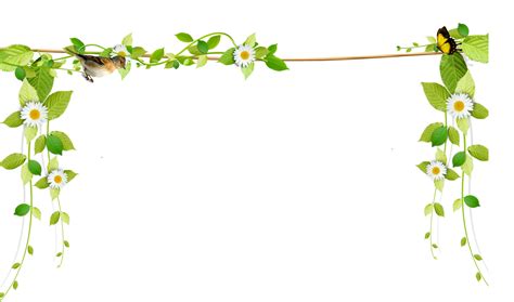 Flower - Beautiful fresh vines border rope png download - 2020*1190 - Free Transparent Flower ...