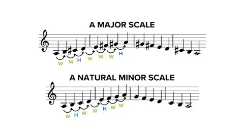 WMA Theory Instruction - YouTube