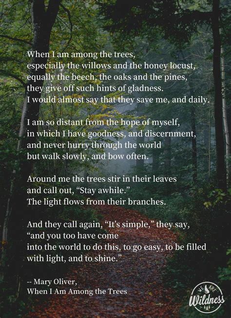 Pin by Roam Gloam on Inspiring People | Nature poem, Nature quotes trees, Nature quotes