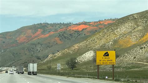 Motorists getting treated to a beautiful sight on the Grapevine - ABC30 Fresno