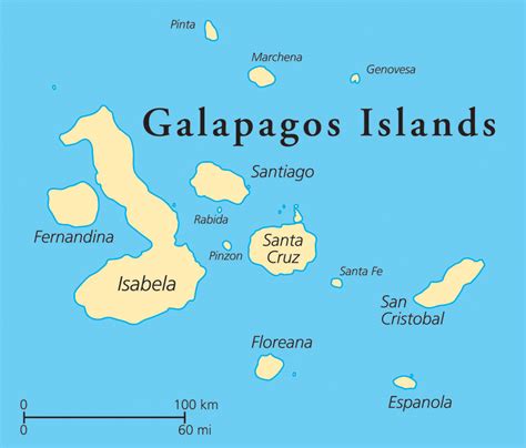 Project Isabela: How Goats Helped Eliminate Goats From The Galapagos | Amusing Planet