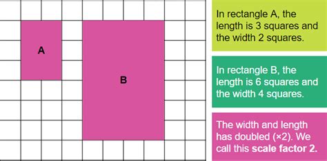 What is a Scale Factor? | Twinkl Teaching Wiki - Twinkl