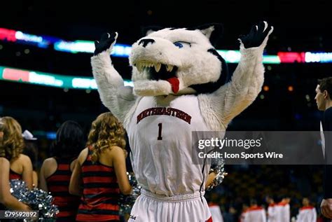 Paws the Northeastern mascot. The Northeastern University Huskies ...