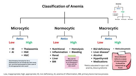 Morphological Classification of Anemia • The Blood Project