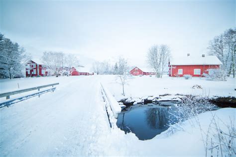 Snow Whisperer, Finland | Viva La Vita