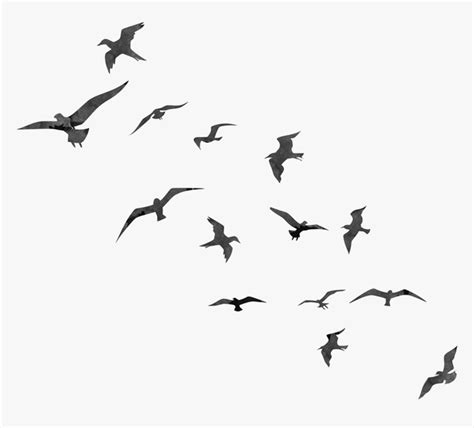 Bird Flight Swallow Flock - Transparent Birds Flying Silhouette, HD Png Download , Transparent ...