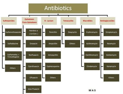 Antibiotic | Antibiotic | Pinterest