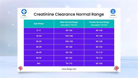 Creatinine Clearance Calculator | CRCI Calculator Kidney - Drlogy