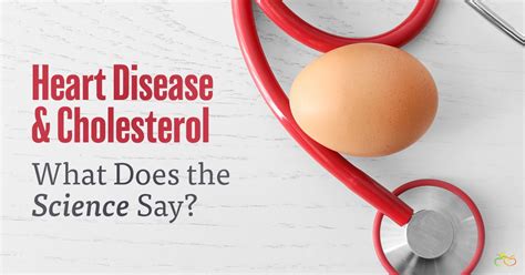 Heart Disease and Cholesterol | What Does the Science Say?