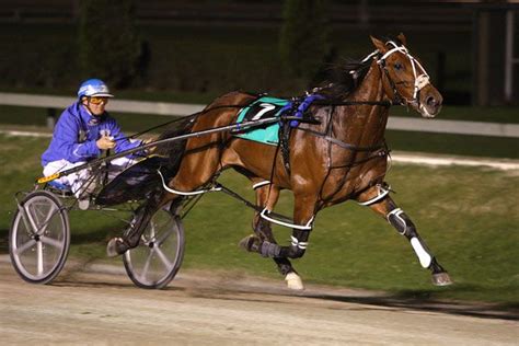 18+ Harness horse racing pictures ideas in 2021 | horsebarnideas