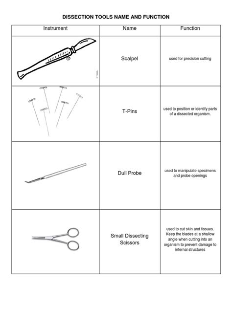 Dissecting Tools | PDF