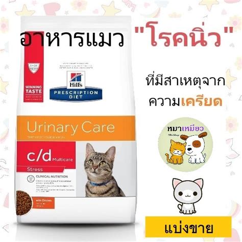 หมาเหมียว, ร้านค้าออนไลน์ | Shopee Thailand