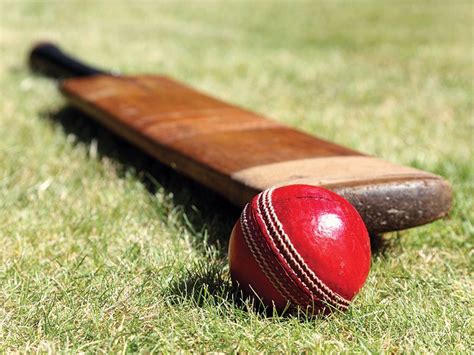 Cricket Quiz | Britannica.com