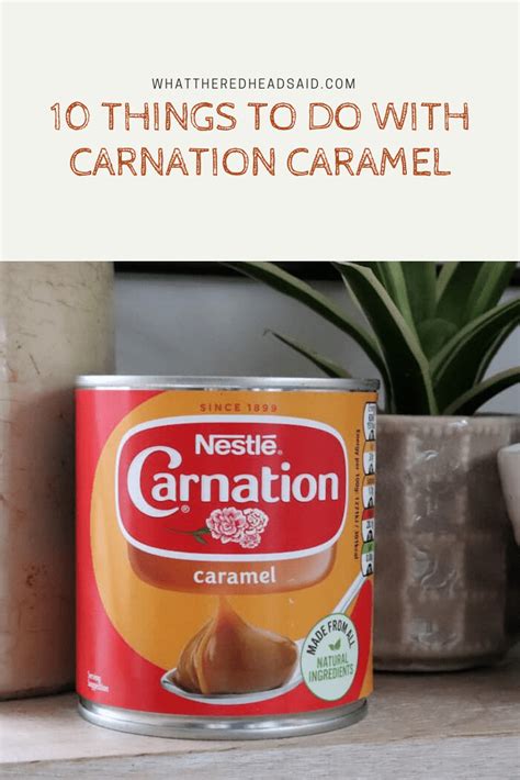 Nestle Carnation Condensed Milk Caramel Recipe | Deporecipe.co