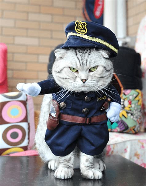 Police Cat Costume - Suddenly Cat: Cute Cat Things For Cute Cat People