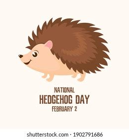 National Hedgehog Day Vector Cute Hedgehog Stock Vector (Royalty Free) 1902791173