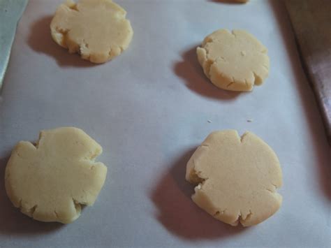 The easiest Lemonades Girl Scout Cookie Recipe - Fun in Key West