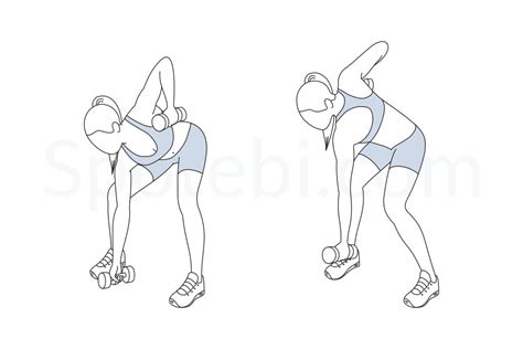 Bow And Arrow Squat Pull | Illustrated Exercise Guide