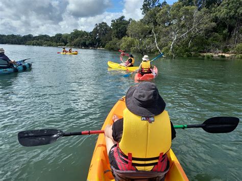 Kayaking Tours – Running Wild