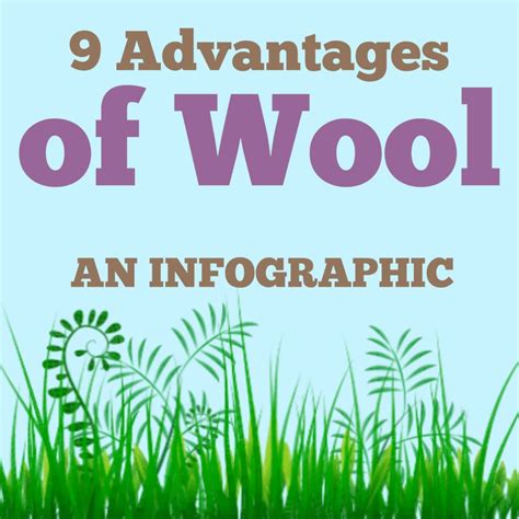 9 Advantages of Wool – Acorns & Twigs Blog