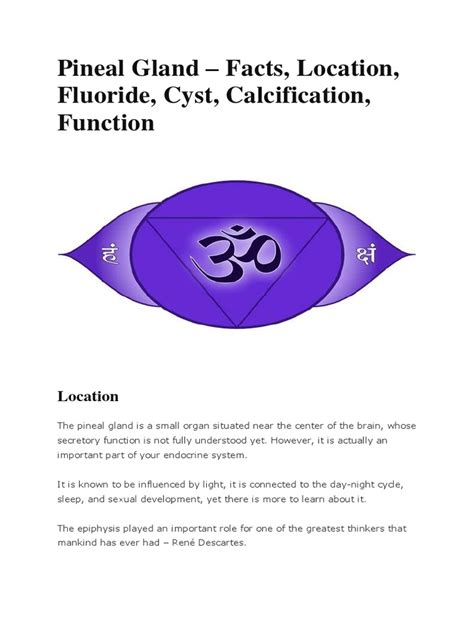 Pineal Gland Theories | PDF