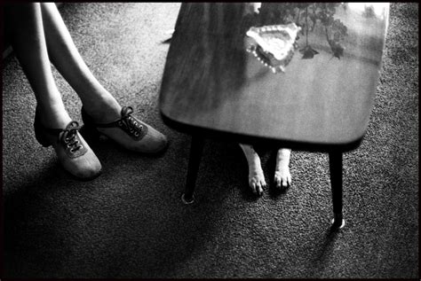 Chinese Year of the Dog • Elliott Erwitt • Magnum Photos