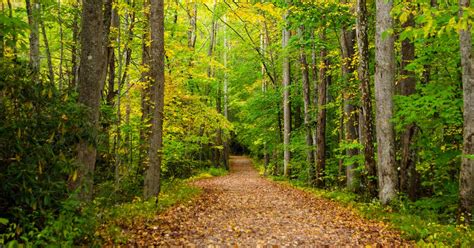 Hiking In The Smokies: Waterfalls, Mountain Views, Best Hikes & More