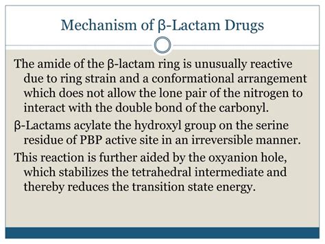 PPT - Beta-Lactam Antibiotics PowerPoint Presentation, free download ...