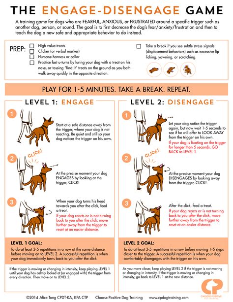 Help for Reactive Dogs | Reactive dog, Positive dog training, Dog training