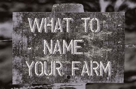 A Guide to Choosing the Best Farm Names | Farm name, Farm name generator, Ranch names