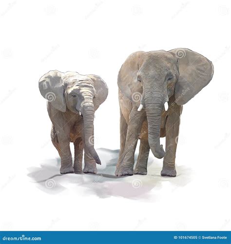 Mother and Baby Elephants Watercolor Stock Illustration - Illustration of wildlife, young: 101674505