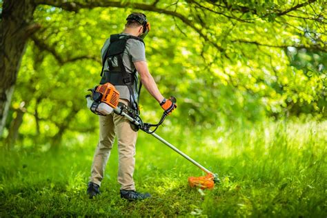 Brush Cutter vs String Trimmer - Which One? - Farmer Grows