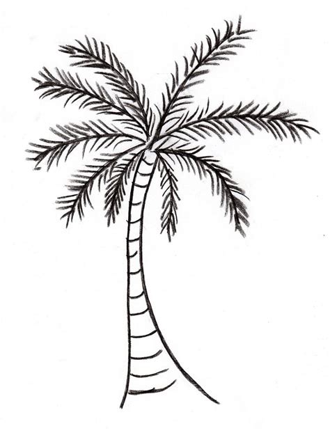 Palm Tree Drawing - Samantha Bell | Tree drawing simple, Palm tree drawing, Tree doodle