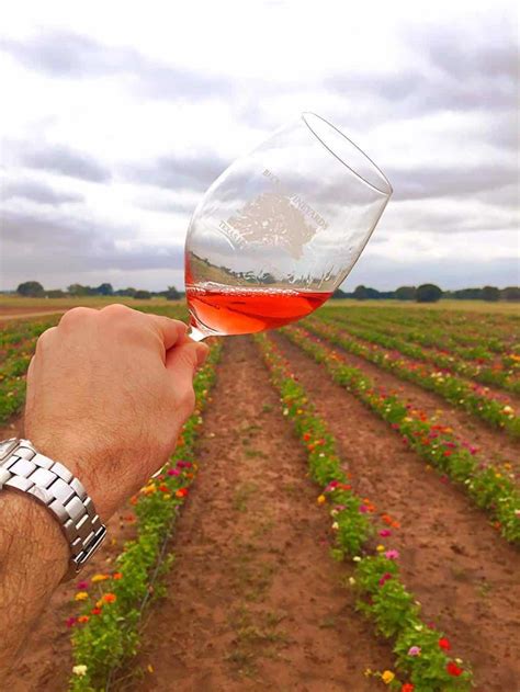 The Best Texas Hill Country Wineries to Visit • Winetraveler