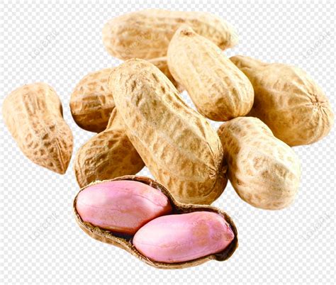 Peanut, Peanut Free, Peanuts Texture, Photography Free PNG And Clipart ...