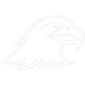 Ashland Eagles NCAA Logo Sticker