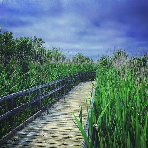 Instagram photo by J David Hillery • May 24, 2016 at 1:47am UTC | National wildlife refuge, Park ...