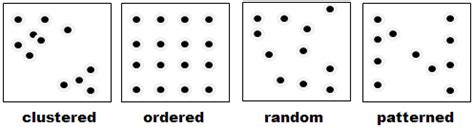 Distribution of points, lines, and polygons – EEG 260 – GIS & Remote Sensing