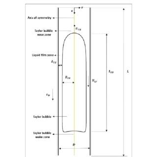 Velocity fields (left) and streamlines (right) of gas-liquid slug flow... | Download Scientific ...