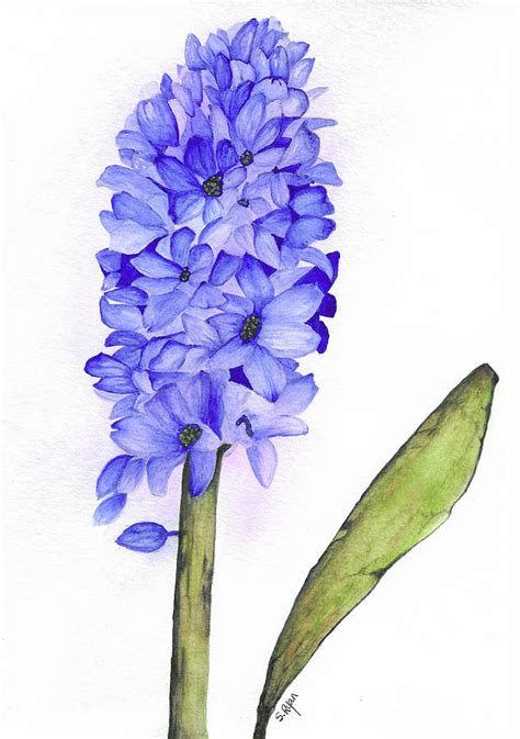 Hyacinth Painting by Susanne M Ryan