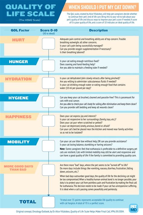 Quality of Life Scale to Decide When to Put Your Cat Down: Infographic | PetMD