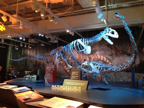 Majungasaurus skeleton at the Ultimate Dinosaurs exhibit, Canadian Museum of Nature, summer 2016 ...