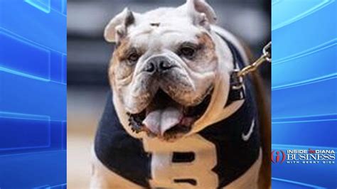 Butler Mascot Set to Retire – Inside INdiana Business