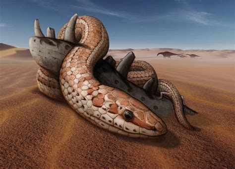 Fossils shed light on snake bite and legs | Mirage News