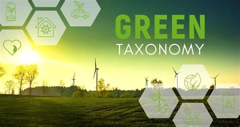 Green Taxonomy: A Tool for Greenwashing