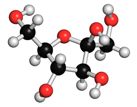 Fructose Fruit Sugar