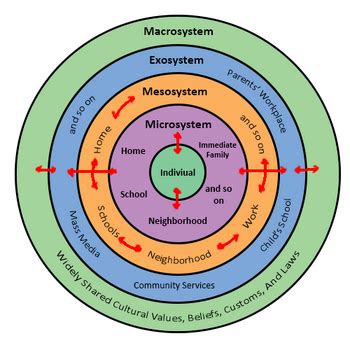 Bioecological model - Psychology Wiki